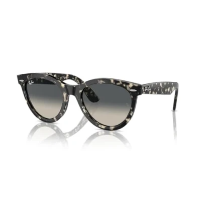 Abbildung von Ray Ban Unisex RB2241 WAYFARER WAY 133371 Gläser SONNENBRILLEN Acetat Schildkröte Grau Rund Normal Schattiert