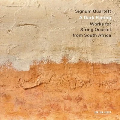Abbildung von A Dark Flaring: Works from South Africa