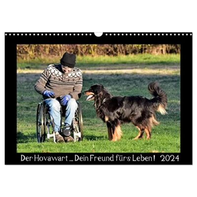 Abbildung von Der Hovawart... Dein Freund fürs Leben ! (Wandkalender 2024 DIN A3 quer), CALVENDO Monatskalender: Wandkalender, Monatskalender, 14 Seiten (CALVENDO Tiere)