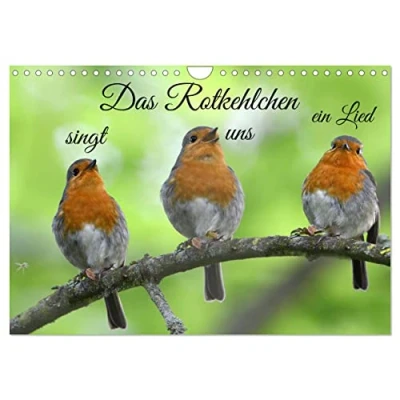 Abbildung von Das Rotkehlchen singt uns ein Lied (Wandkalender 2025 DIN A4 quer), CALVENDO Monatskalender