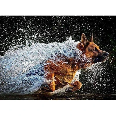 Abbildung von Puzzle 2000 Teile Jigsaw für Erwachsene Buntes Erwachsene, Motiv: Hund im Wasser, Puzzle, Teile, Puzzel,2000 70X100cm（27.55 * 39.