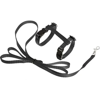 Abbildung von Flamingo Kittenharnas + Leine Ziggi Katzengeschirr Schwarz 120cm 1...