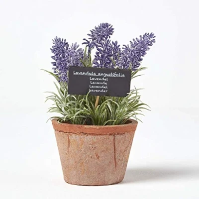 Abbildung von Homescapes künstliche Küchenkräuter im Topf, Lavendel, mediterrane Kunstkräuter Tontopf als Innenbereich Deko, Topfpflanze, 15 cm hoch