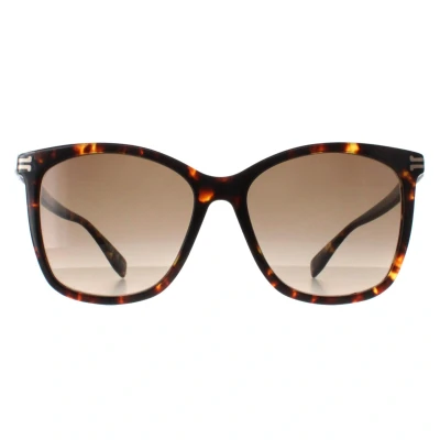 Abbildung von Marc Jacobs Damen MJ 1106/S 086/HA Gläser SONNENBRILLEN Acetat Havanna Braun Cat Eye Schattiert