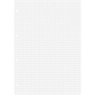 Abbildung von 10 x Brunnen Ringbucheinlagen A4 rautiert 50 Blatt