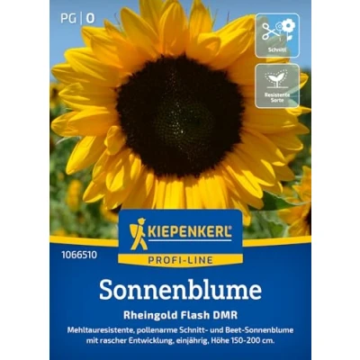 Abbildung von Kiepenkerl Profi Line Sonnenblumensamen Rheingold Flash DMR 1066510 Pollenarme Sorte für Schnitt und Beet Sonnenblumen Wildblumensamen, Blumenwiese