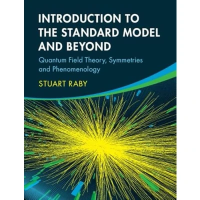 Abbildung von Introduction to the Standard Model and Beyond: Quantum Field Theory, Symmetries Phenomenology