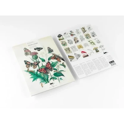 Abbildung von Natural History: Artists&#039; Colouring Book (Artists&#039; Books)