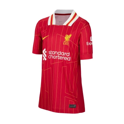 Abbildung von Nike Fußballtrikot FC Liverpool Trikot 3rd 2024/2025