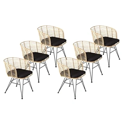 Abbildung von SAM 6er Set Rattanstuhl Nairobi, Farbe Natur, inklusive Sitzkissen, Korbstuhl mit Metallfüßen, Geflechtstuhl/Eisenstuhl im Retro Design, Esszimmerstuhl Armlehnen