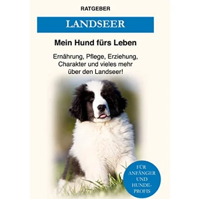 Abbildung von Landseer: Ernährung, Pflege, Erziehung, Charakter und vieles mehr über den Landseer
