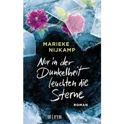 Abbildung von Nur in der Dunkelheit leuchten die Sterne: Roman