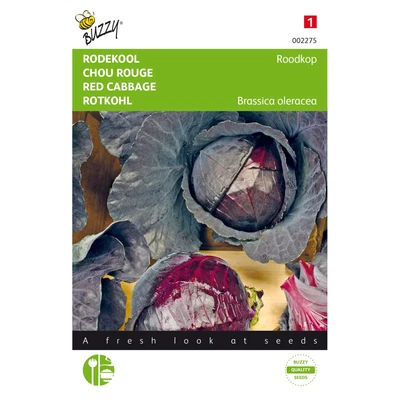Abbildung von Saatgut Rotkohl Rotkopf Buzzy