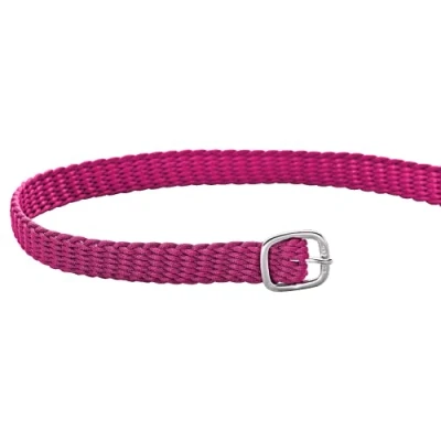 Abbildung von Sprenger Sporenriemen Perlon Rosa 45cm Agradi.deVerkauft von Agradi