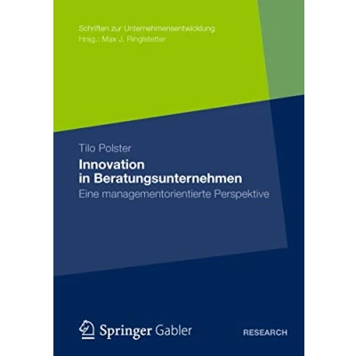 Abbildung von Innovation in Beratungsunternehmen: Eine managementorientierte Perspektive (Schriften zur Unternehmensentwicklung)