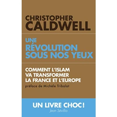Abbildung von Une révolution sous nos yeux Comment l&#039;Islam va transformer la France et l&#039;Europe: l&#039;Europe