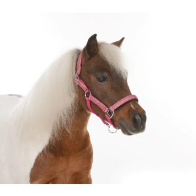 Abbildung von HB Halfter Glitter Shine Fuchsia Mini Shetland