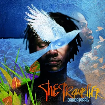 Abbildung von The Traveller (Lp+Mp3) [Vinyl LP]