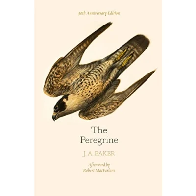 Abbildung von The Peregrine: 50th Anniversary Edition: Afterword by Robert Macfarlane