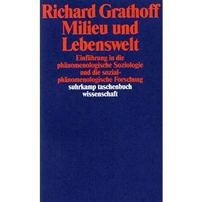 Abbildung von Milieu und Lebenswelt: Einführung in die phänomenologische Soziologie sozialphänomenologische Forschung (suhrkamp taschenbuch wissenschaft)