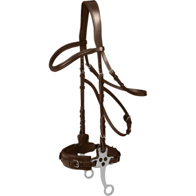 Abbildung von Waldhausen Hackamore X Line Braun Vollblut