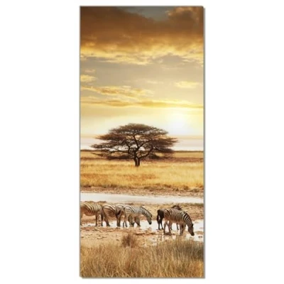Abbildung von Wallario Selbstklebende Türtapete Safari in Afrika eine Herde Zebras am Wasser Türposter 93 x 205 cm Abwischbar, rückstandsfrei zu entfernen