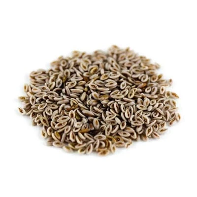 Abbildung von Flohsamen indisch gelb ganz BIO, 100g von Dragonspice Naturwaren,