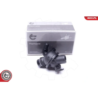 Abbildung von Thermostat, Kühlmittel ESEN SKV 20SKV177
