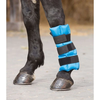 Abbildung von Waldhausen Ice Boot Gel Petrol Pony