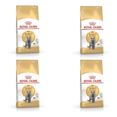 Abbildung von Royal Canin FBN British Shorthair Adult 400g...