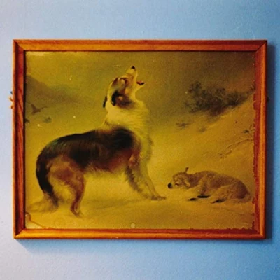 Abbildung von The Rescue Anniversary Edition [Vinyl LP]