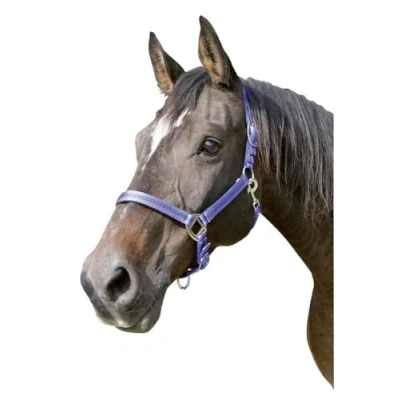 Abbildung von Kerbl Halfter Mustang 2 Fach verstellbar, Blau/Schwarz, 3, 321972