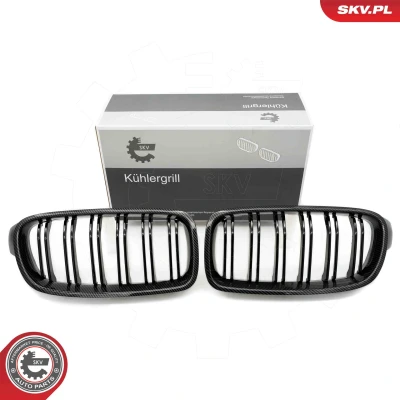 Abbildung von ESEN SKV 66SKV127 Kühlergrill carbon BMW: 3 Limousine, Touring
