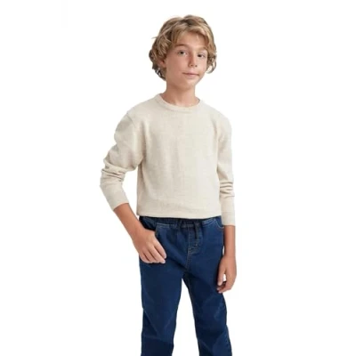 Abbildung von DeFacto Langarmshirt Pullover und Sweatshirt für Jungen Stilvolle Kinderbekleidung die kalte Jahreszeit Kinder Regular Fit Crew Neck