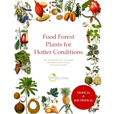 Abbildung von Food Forest Plants For Hotter Conditions: 250+ Perennial Tropical and Sub Forests Permaculture Gardens