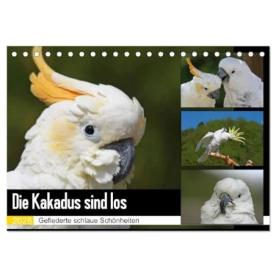 Abbildung von Die Kakadus sind los (Tischkalender 2025 DIN A5 quer), CALVENDO Monatskalender