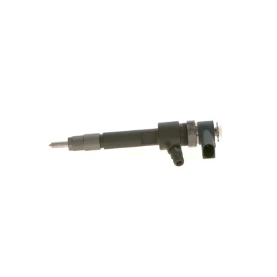 Abbildung von BOSCH 0 445 110 081 Einspritzdüse Common Rail mit Dichtring