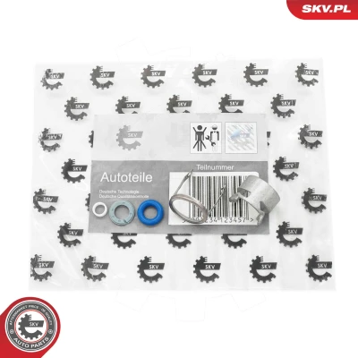 Abbildung von DR.MOTOR AUTOMOTIVE DRM01373 Reparatursatz, Einspritzdüse VOLKSWAGEN: Golf 6, Touran I, 6 Cabrio, AUDI: A6 C6 Avant, Limousine