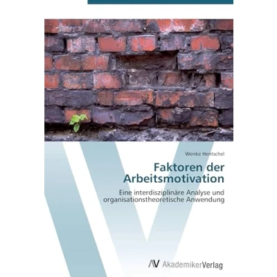 Abbildung von Faktoren der Arbeitsmotivation: Eine interdisziplinäre Analyse und organisationstheoretische Anwendung