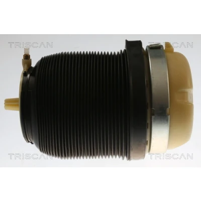 Abbildung von TRISCAN 8720 29202 Luftfeder, Fahrwerk AUDI: A6 C6 Allroad, Limousine