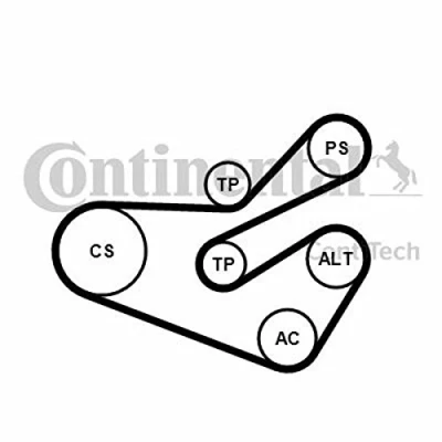 Abbildung von CONTITECH 6PK1740K3 Keilrippenriemensatz PEUGEOT: 206 Schrägheck, SW, CITROËN: Xsara Picasso