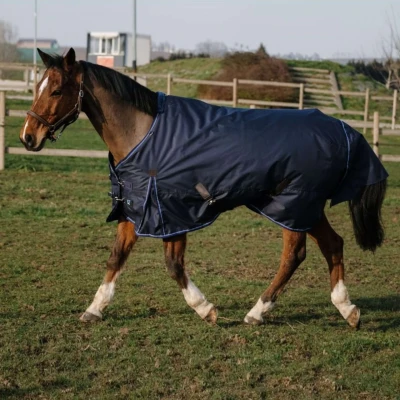 Abbildung von EQUITHÈME Decke Classic 1200D 50g Navy 135/183