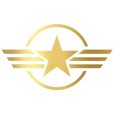 Abbildung von Finest Folia 2er Set Autoaufkleber Army Stern Sticker Folie für Auto Motorrad Anhänger Aufkleber US Star Motiv 4 selbstklebend wetterfest Kfz Zubehör (Gold, 10 x cm K171)