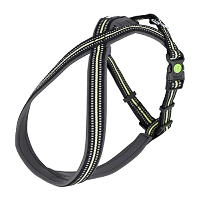 Abbildung von Kerbl Geschirr Xenos Schwarz/Neon Gelb 15mm