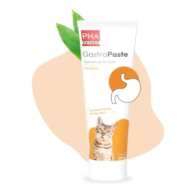Abbildung von Pha Gastropaste Für Katzen 100 ml