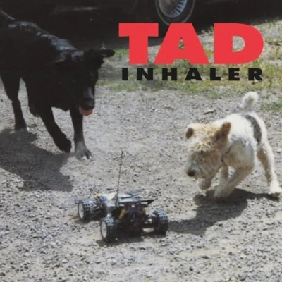 Abbildung von Inhaler [Vinyl LP]