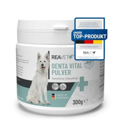 Abbildung von Denta Vital Pulver 300 g