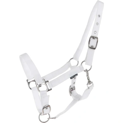 Abbildung von Harry&#039;s Horse Halfter 3x verstellbar Weiß Vollblut Agradi.deVerkauft von Agradi