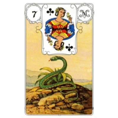 Abbildung von Tarot Lenormand Karten blaue Eule Wahrsagekarten