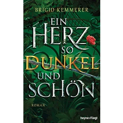 Abbildung von Ein Herz so dunkel und schön: Roman (Emberfall Reihe, Band 2)
